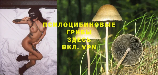стаф Верхнеуральск