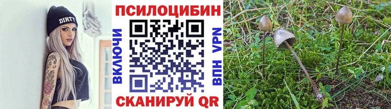 Псилоцибиновые грибы Magic Shrooms  Лихославль 